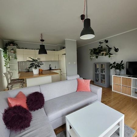 Maciejkowa Apartment ชเตชชิน ภายนอก รูปภาพ