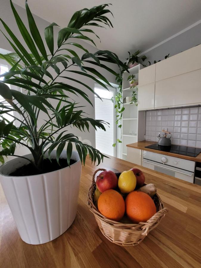 Maciejkowa Apartment ชเตชชิน ภายนอก รูปภาพ